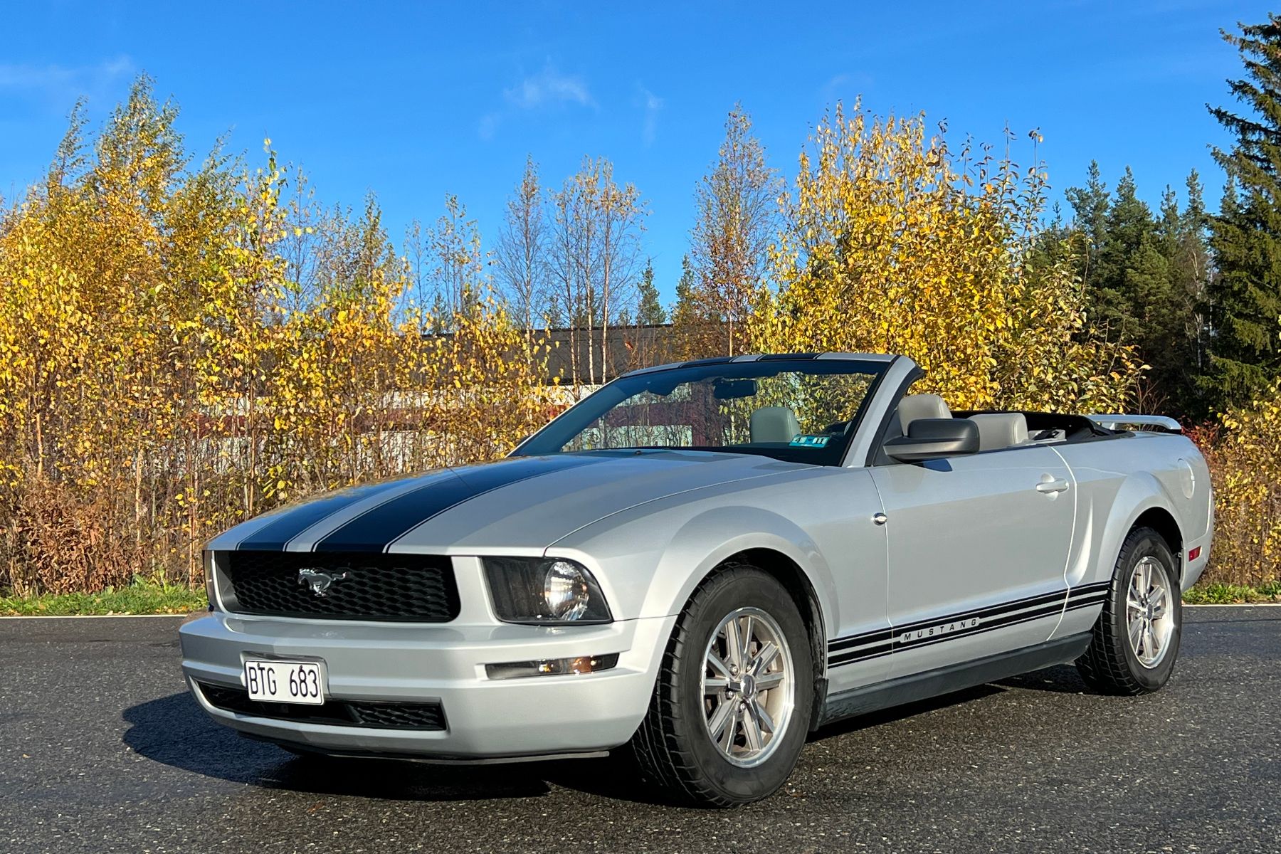 Stunning 2005 Mustang Convertible V6 Gallerynull
