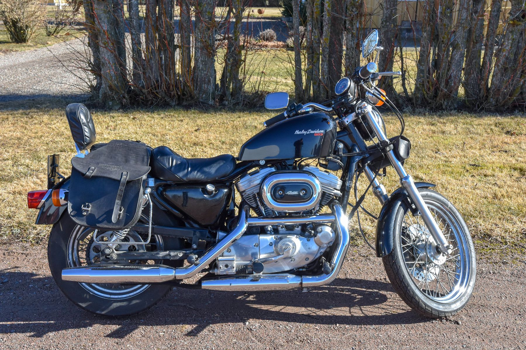 833 sportster harley davidson